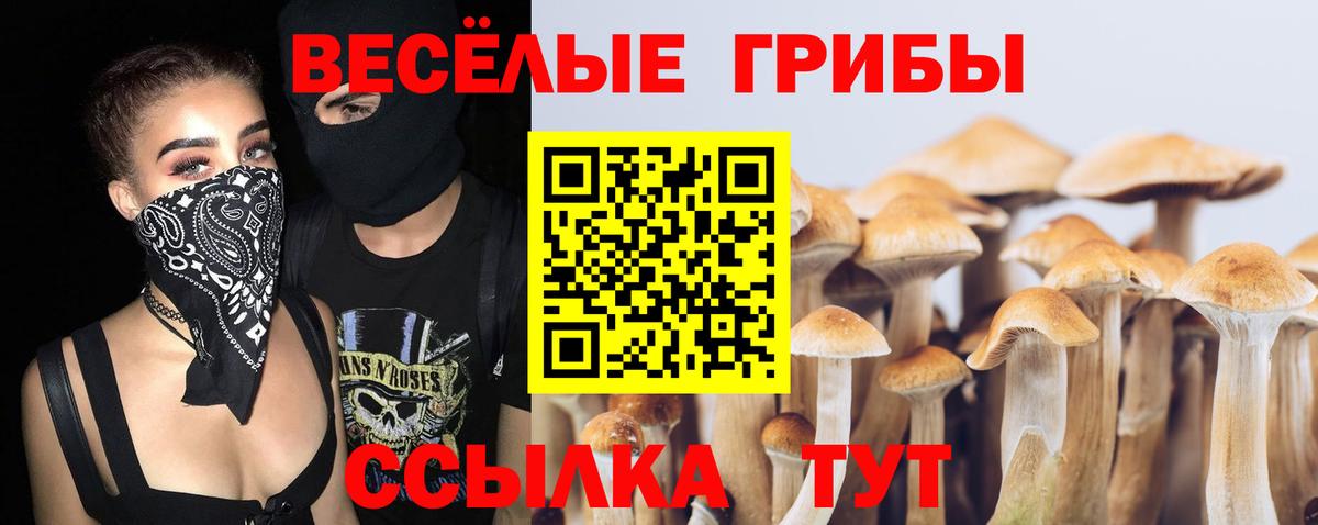 Галлюциногенные грибы Psilocybine cubensis Артёмовский